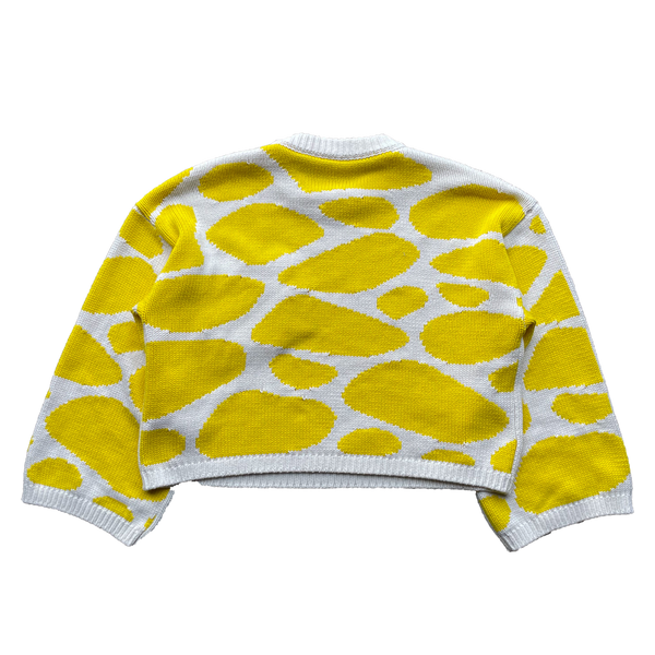Intarsia Wave Knit